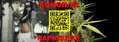 apvp Партизанск