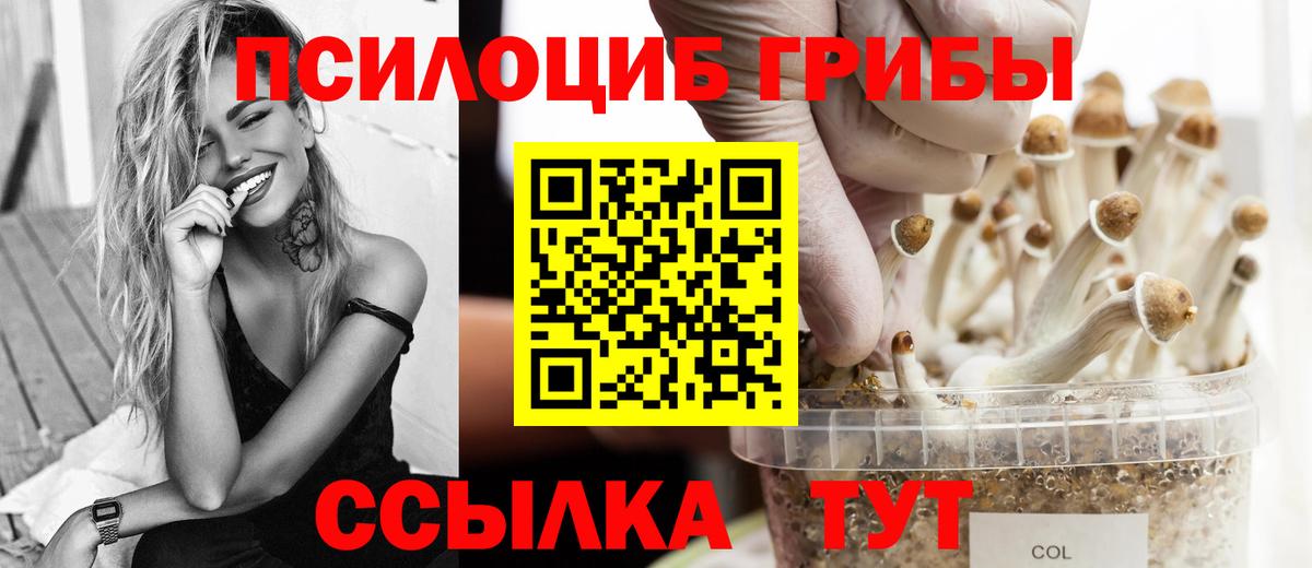 Псилоцибиновые грибы ЛСД Лыткарино